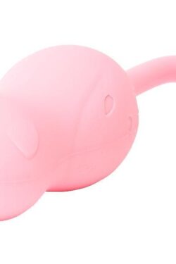 ローター【小型】さくらの恋猫 NUKUNUKU （膣圧トレーニング ローター 女性用 ） ローター 遠隔 ワイヤレス 静音 遠隔操作 スマホ 2way 充電式 ポケットサイズで持ち運び簡単！携帯用ローターで快感をどこでも。